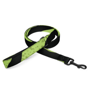 Pet leash